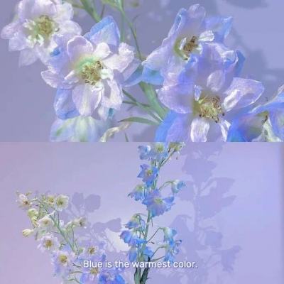 万博手机版max网页版下载手机版