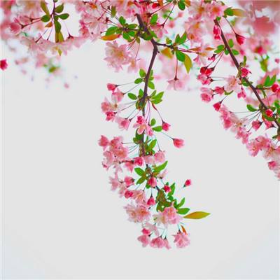 ag娱乐平台游戏中心下载手机版